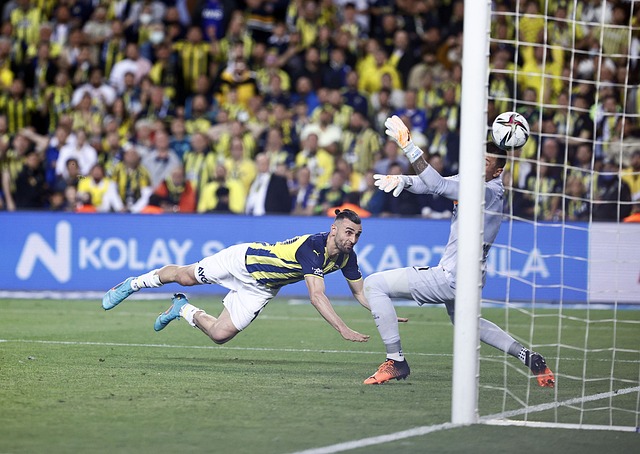 无私和默契 无私和默契