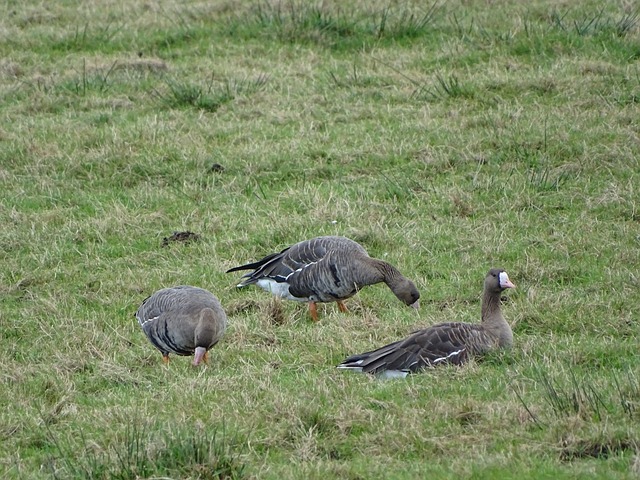 学院等方式 学院等方式