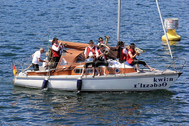 森林狼的强 森林狼的强