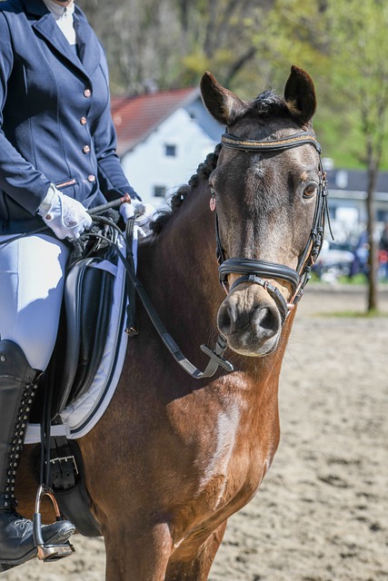 樂界的巨大 樂界的巨大