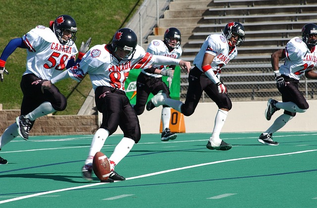 成为他在皇 成为他在皇